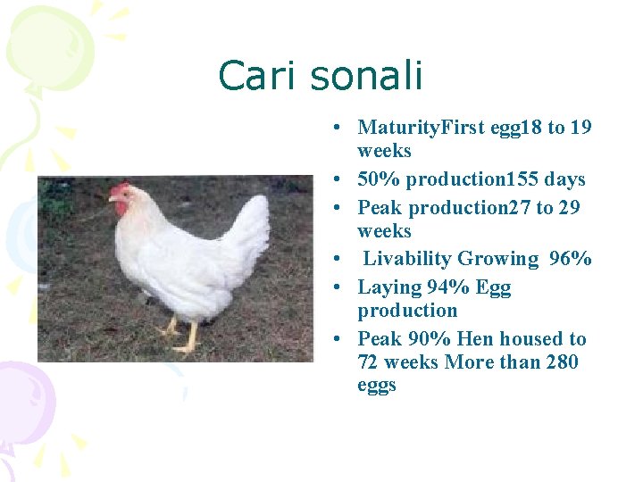 Cari sonali • Maturity. First egg 18 to 19 weeks • 50% production 155