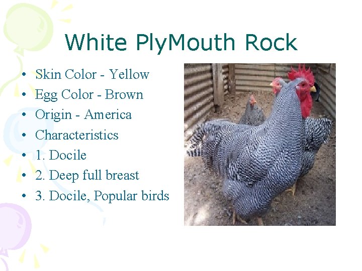 White Ply. Mouth Rock • • Skin Color - Yellow Egg Color - Brown