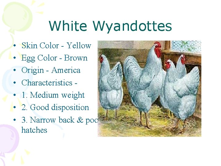 White Wyandottes • • Skin Color - Yellow Egg Color - Brown Origin -