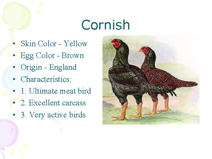 Cornish • • Skin Color - Yellow Egg Color - Brown Origin - England