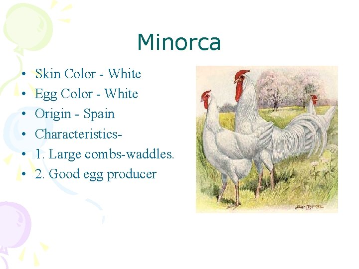 Minorca • • • Skin Color - White Egg Color - White Origin -