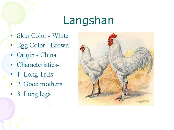  Langshan • • Skin Color - White Egg Color - Brown Origin -