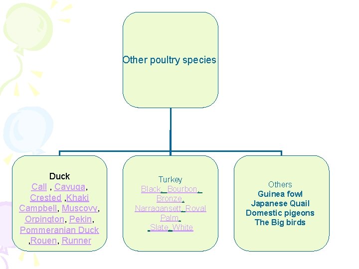 Other poultry species Duck Call , Cayuga, Crested , Khaki Campbell, Muscovy, Orpington, Pekin,