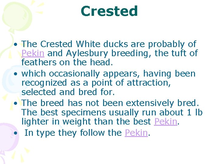 Crested • The Crested White ducks are probably of Pekin and Aylesbury breeding, the