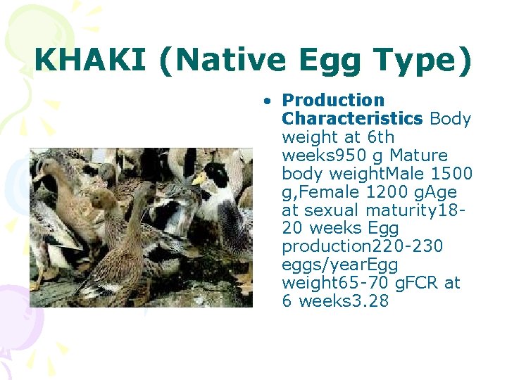 KHAKI (Native Egg Type) • Production Characteristics Body weight at 6 th weeks 950