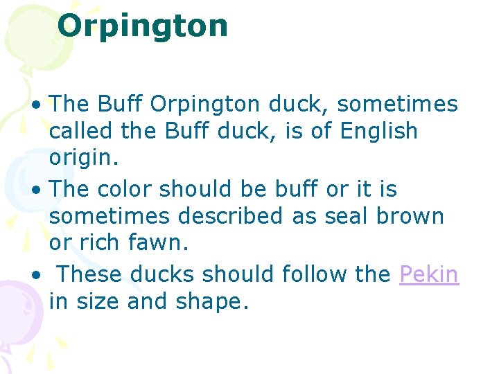Orpington • The Buff Orpington duck, sometimes called the Buff duck, is of English