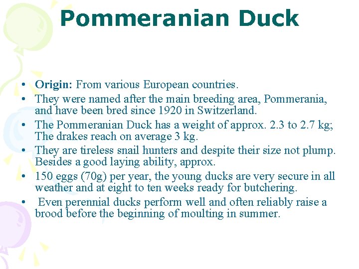 Pommeranian Duck • Origin: From various European countries. • They were named after the
