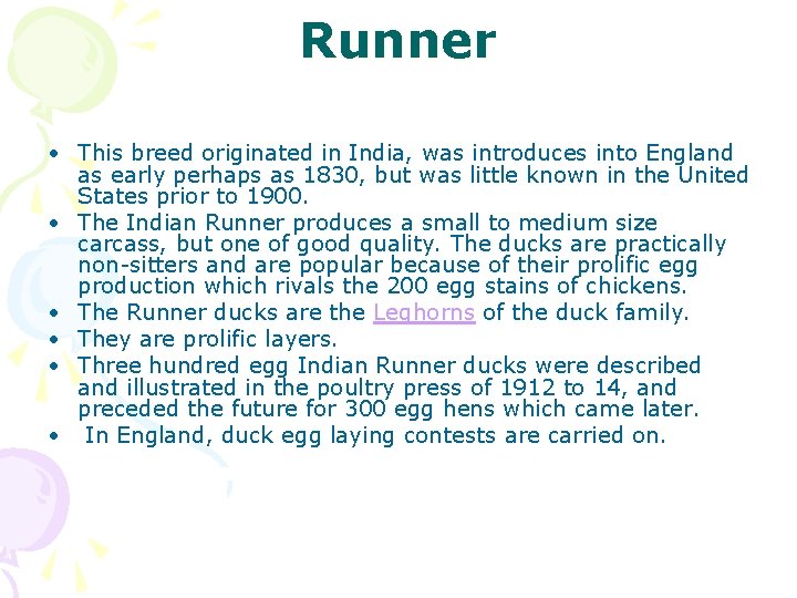 Runner • This breed originated in India, was introduces into England as early perhaps