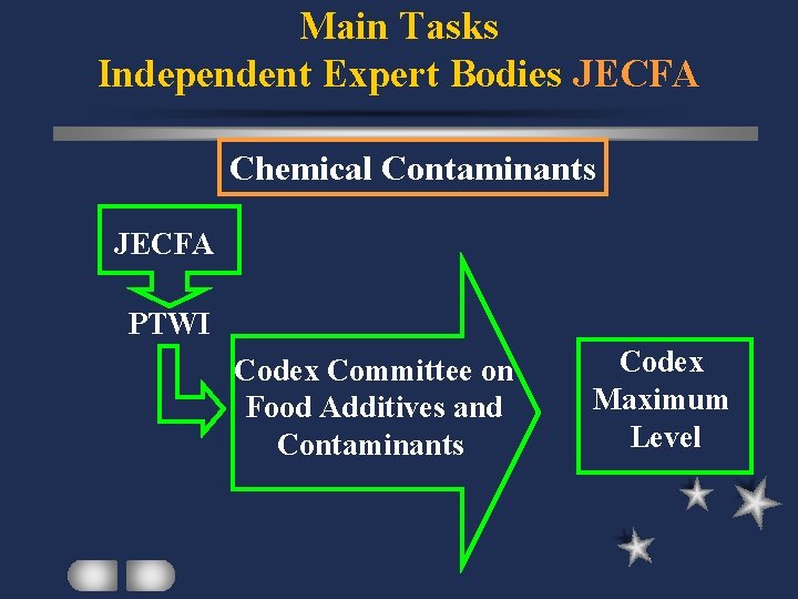Main Tasks Independent Expert Bodies JECFA Chemical Contaminants JECFA PTWI Codex Committee on Food