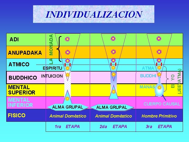 ATMICO BUDDHICO MENTAL SUPERIOR MENTAL INFERIOR FISICO ESPIRITU ATMA INTUICION BUDDHI MANAS ALMA GRUPAL