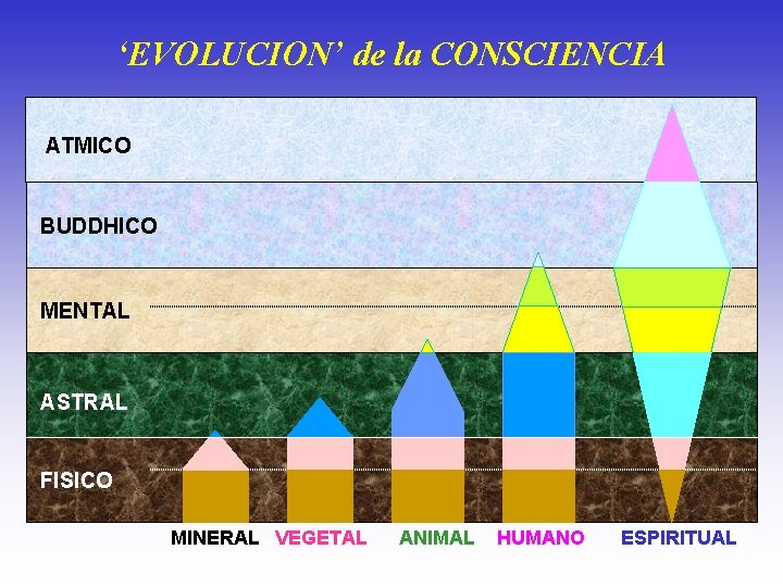 ‘EVOLUCION’ de la CONSCIENCIA ATMICO BUDDHICO MENTAL ASTRAL FISICO MINERAL VEGETAL ANIMAL HUMANO ESPIRITUAL