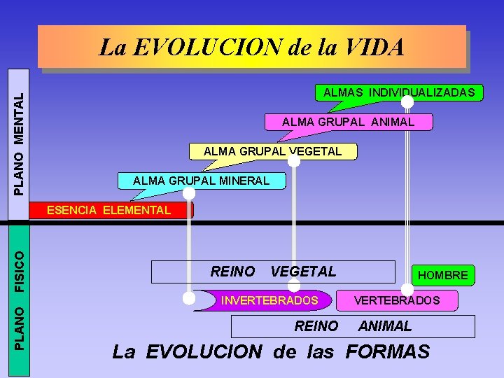 PLANO MENTAL La EVOLUCION de la VIDA ALMAS INDIVIDUALIZADAS ALMA GRUPAL ANIMAL ALMA GRUPAL