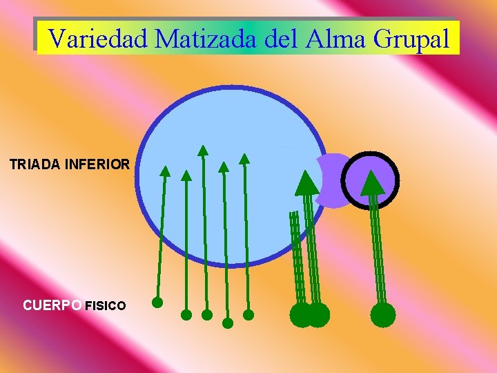 Variedad Matizada del Alma Grupal TRIADA INFERIOR CUERPO FISICO 