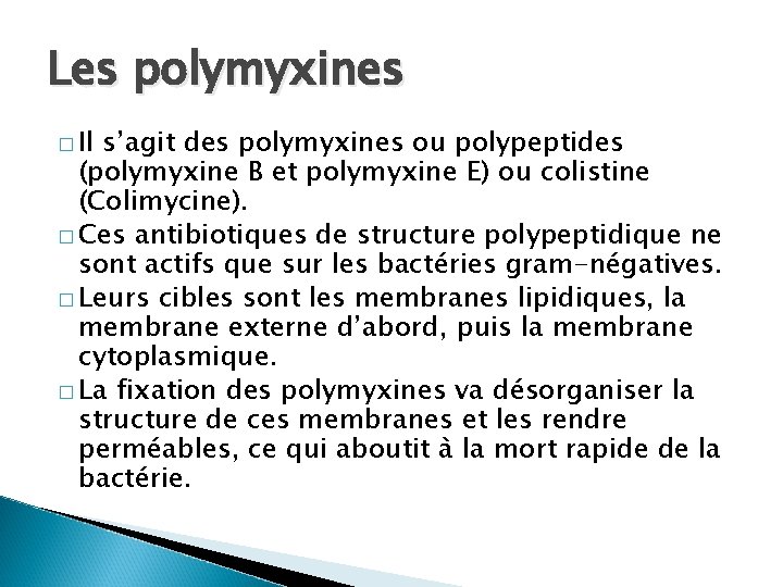 Les polymyxines � Il s’agit des polymyxines ou polypeptides (polymyxine B et polymyxine E)