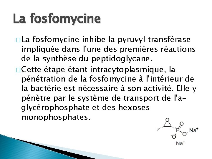 La fosfomycine � La fosfomycine inhibe la pyruvyl transférase impliquée dans l'une des premières