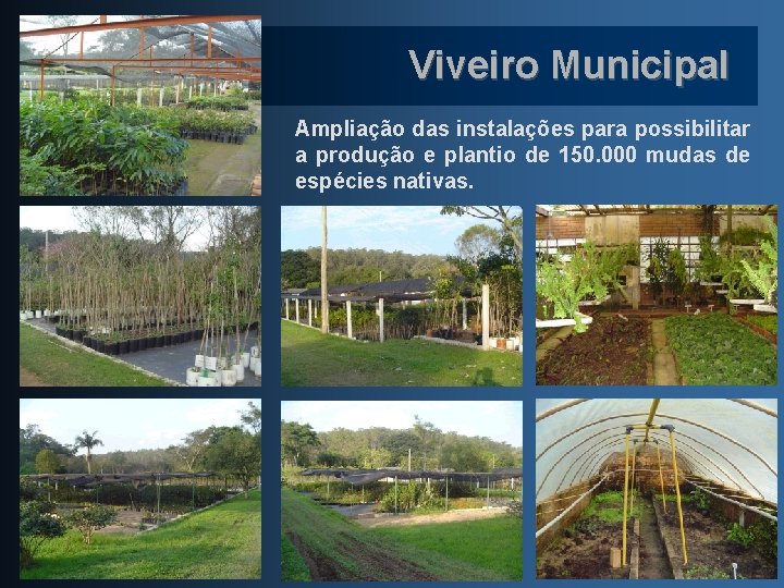 Viveiro Municipal Ampliação das instalações para possibilitar a produção e plantio de 150. 000