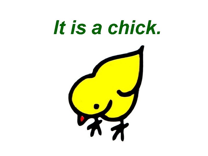It is a chick. 
