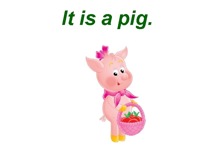 It is a pig. 