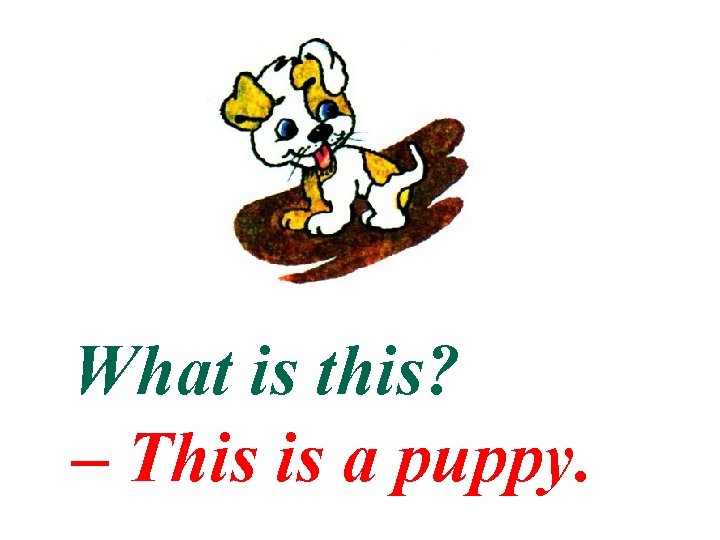 What is this? – This is a puppy. 