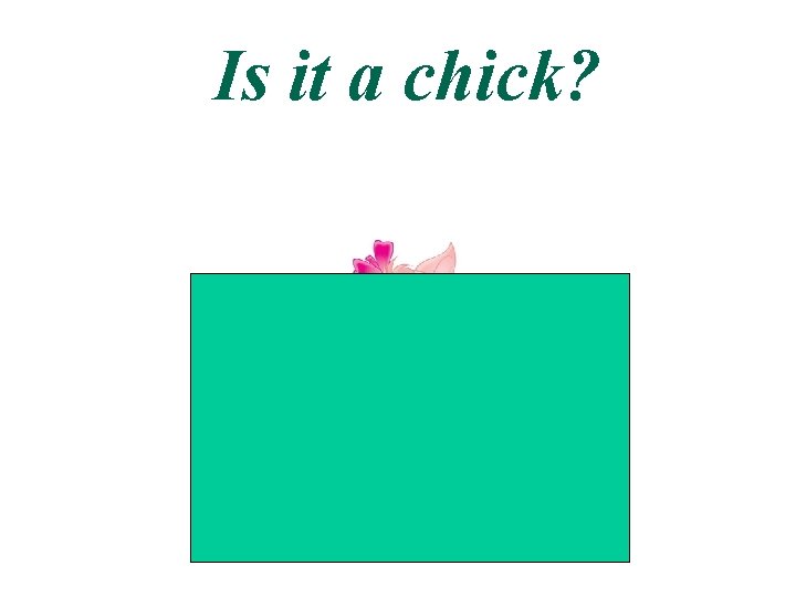 Is it a chick? 