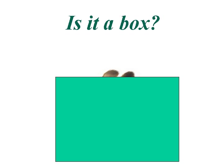 Is it a box? 