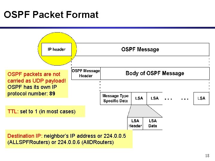 OSPF Packet Format OSPF packets are not carried as UDP payload! OSPF has its OSPF Packet Format OSPF packets are not carried as UDP payload! OSPF has its
