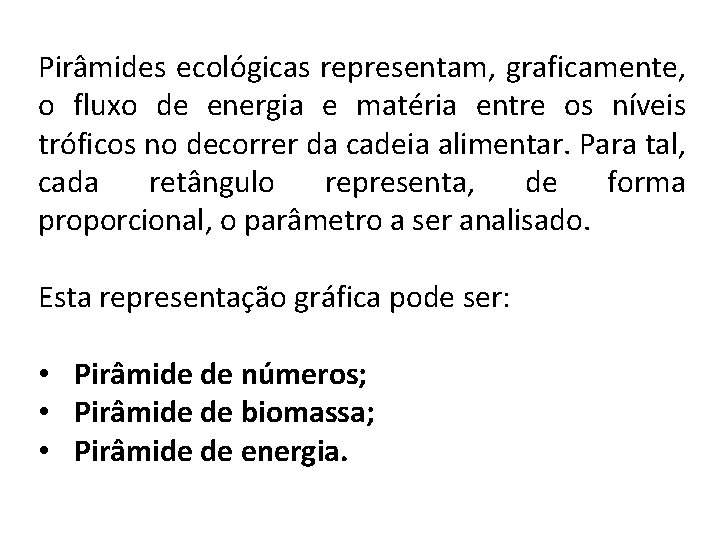 Pirâmides ecológicas representam, graficamente, o fluxo de energia e matéria entre os níveis tróficos