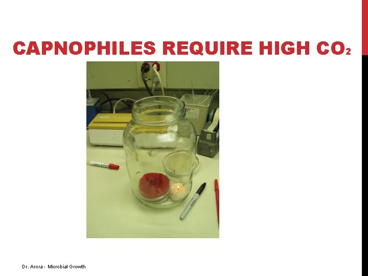 CAPNOPHILES REQUIRE HIGH CO 2 Dr. Arora - Microbial Growth 