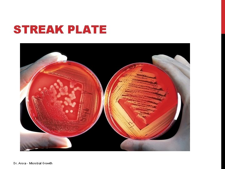 STREAK PLATE Dr. Arora - Microbial Growth STREAK PLATE Dr. Arora - Microbial Growth