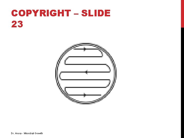 COPYRIGHT – SLIDE 23 Dr. Arora - Microbial Growth 