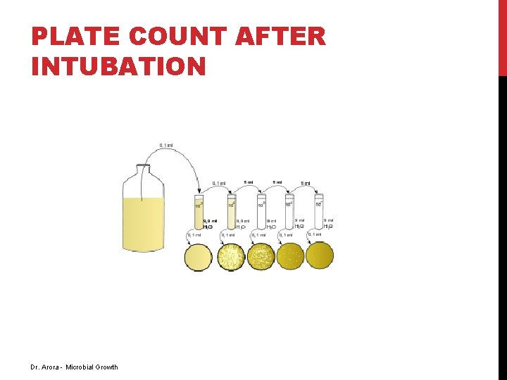 PLATE COUNT AFTER INTUBATION Dr. Arora - Microbial Growth 