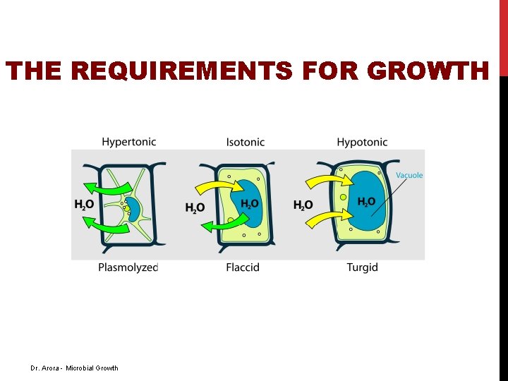 THE REQUIREMENTS FOR GROWTH Dr. Arora - Microbial Growth 