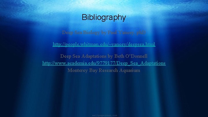 Bibliography Deep Sea Biology by Paul Yancey, ph. D http: //people. whitman. edu/~yancey/deepsea. html