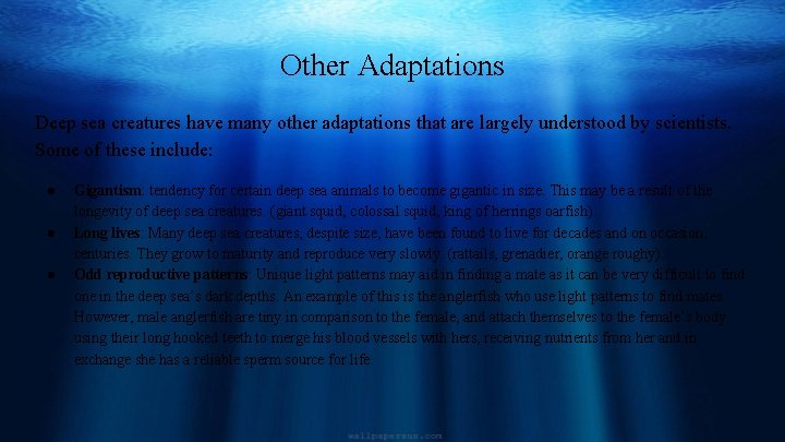 Other Adaptations Deep sea creatures have many other adaptations that are largely understood by