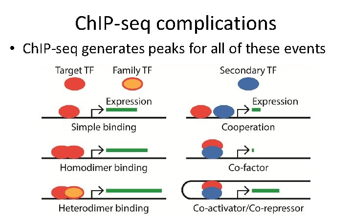 Ch. IP-seq complications • Ch. IP-seq generates peaks for all of these events 