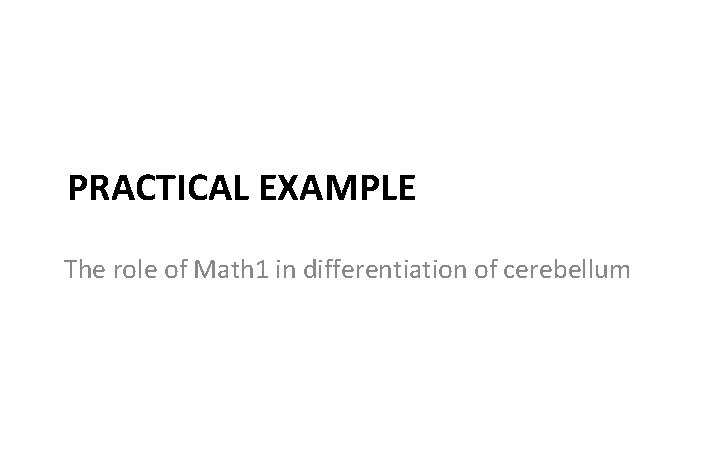 PRACTICAL EXAMPLE The role of Math 1 in differentiation of cerebellum 