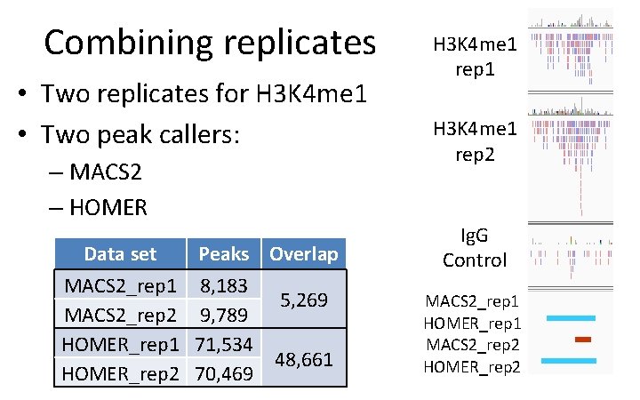 Combining replicates • Two replicates for H 3 K 4 me 1 • Two