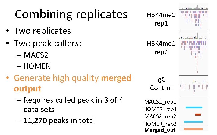 Combining replicates • Two peak callers: – MACS 2 – HOMER • Generate high