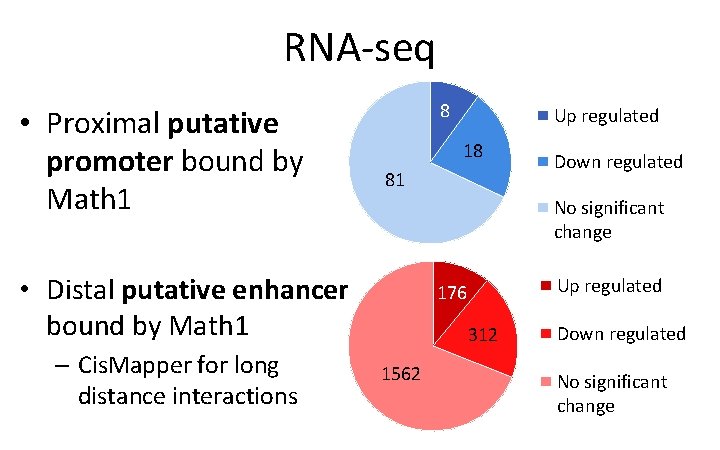RNA-seq • Proximal putative promoter bound by Math 1 8 18 81 Down regulated