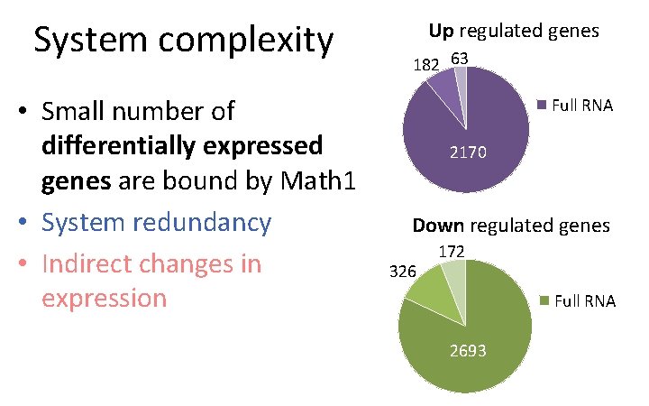 System complexity • Small number of differentially expressed genes are bound by Math 1