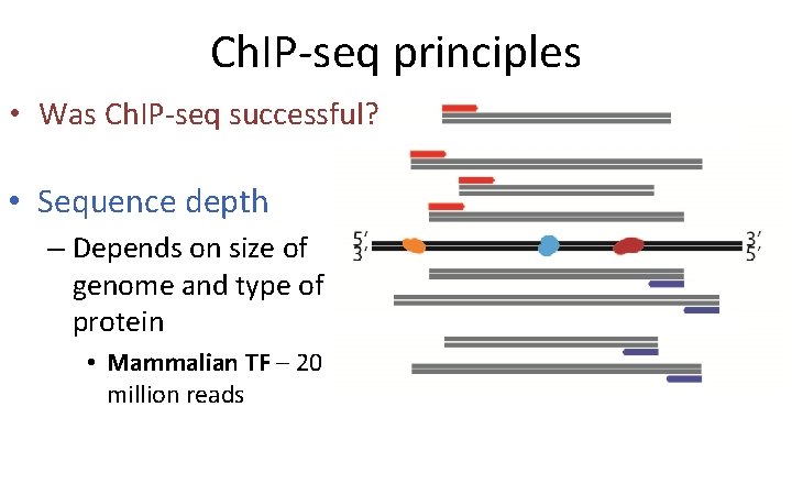 Ch. IP-seq principles • Was Ch. IP-seq successful? • Sequence depth – Depends on