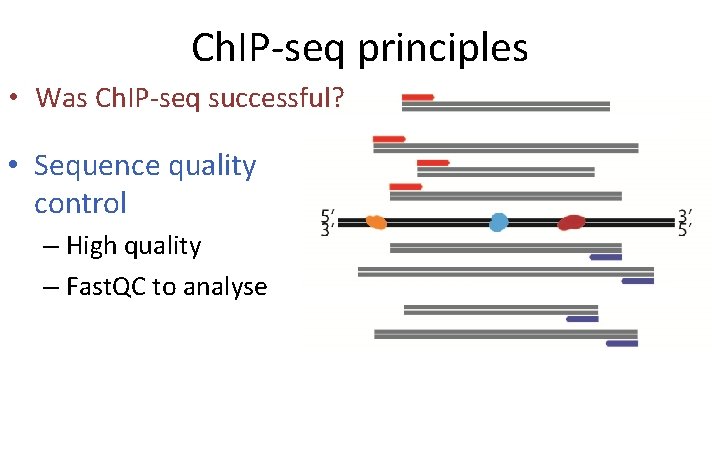 Ch. IP-seq principles • Was Ch. IP-seq successful? • Sequence quality control – High