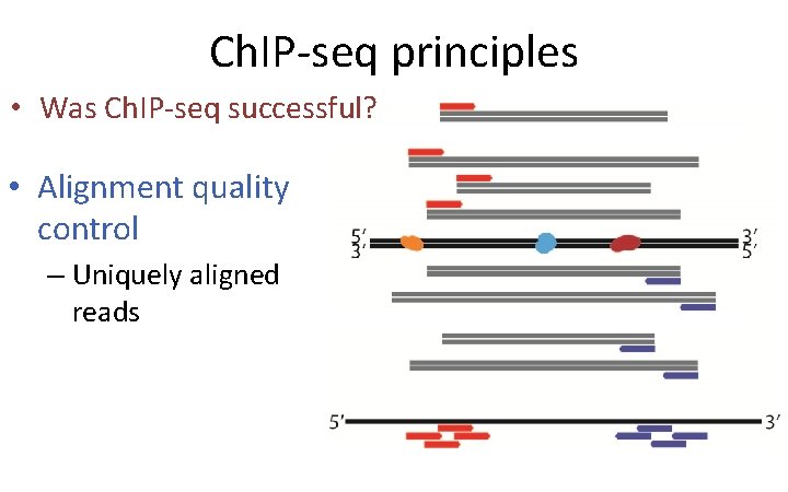 Ch. IP-seq principles • Was Ch. IP-seq successful? • Alignment quality control – Uniquely