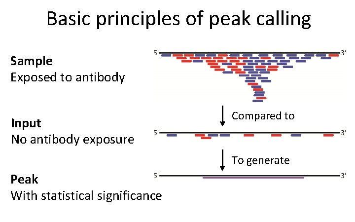 Basic principles of peak calling Sample Exposed to antibody Input No antibody exposure Compared