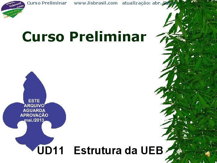 Curso Preliminar www. lisbrasil. com atualização: abr. /2013 Curso Preliminar UD 11 Estrutura da