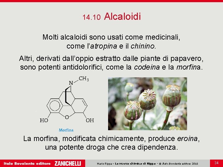 14. 10 Alcaloidi Molti alcaloidi sono usati come medicinali, come l’atropina e il chinino. 14. 10 Alcaloidi Molti alcaloidi sono usati come medicinali, come l’atropina e il chinino.