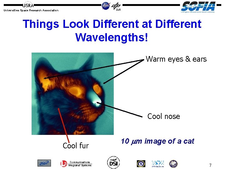 Universities Space Research Association Things Look Different at Different Wavelengths! Warm eyes & ears