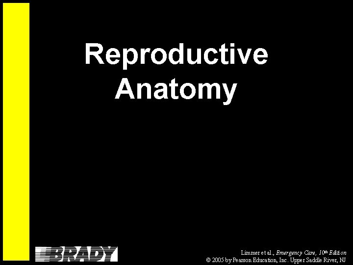 Reproductive Anatomy Limmer et al. , Emergency Care, 10 th Edition © 2005 by