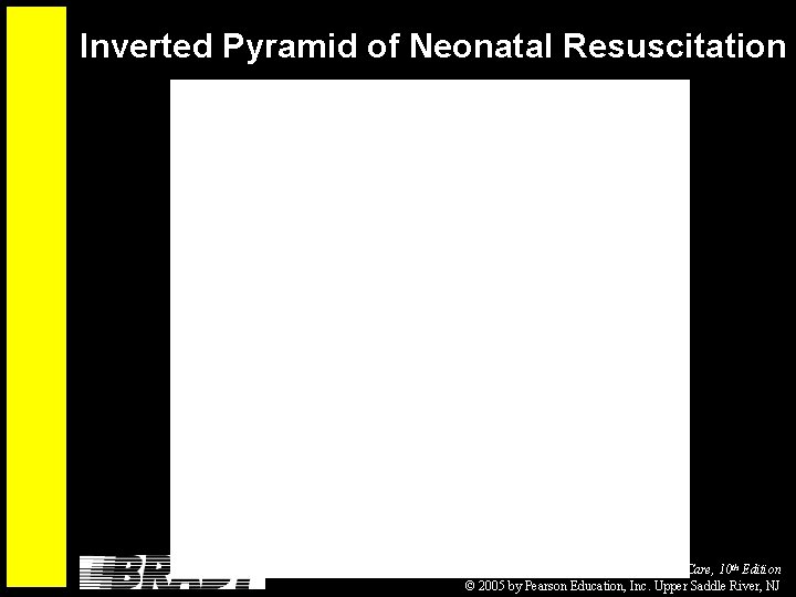 Inverted Pyramid of Neonatal Resuscitation Limmer et al. , Emergency Care, 10 th Edition