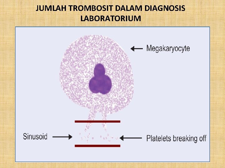 JUMLAH TROMBOSIT DALAM DIAGNOSIS LABORATORIUM 